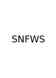 Scientific Name For White Shark