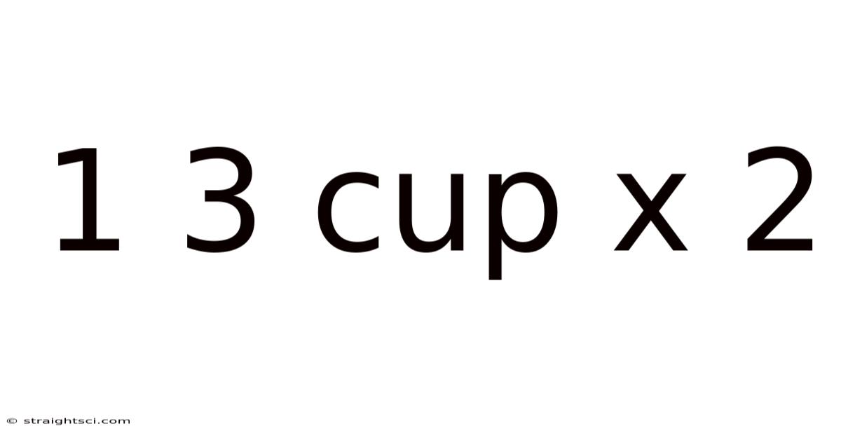 1 3 Cup X 2