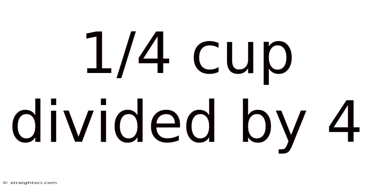 1/4 Cup Divided By 4