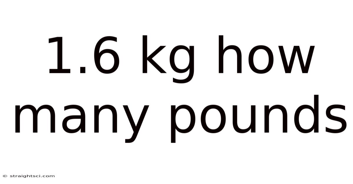 1.6 Kg How Many Pounds