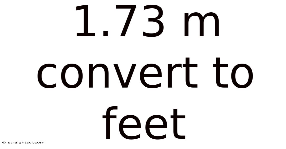 1.73 M Convert To Feet
