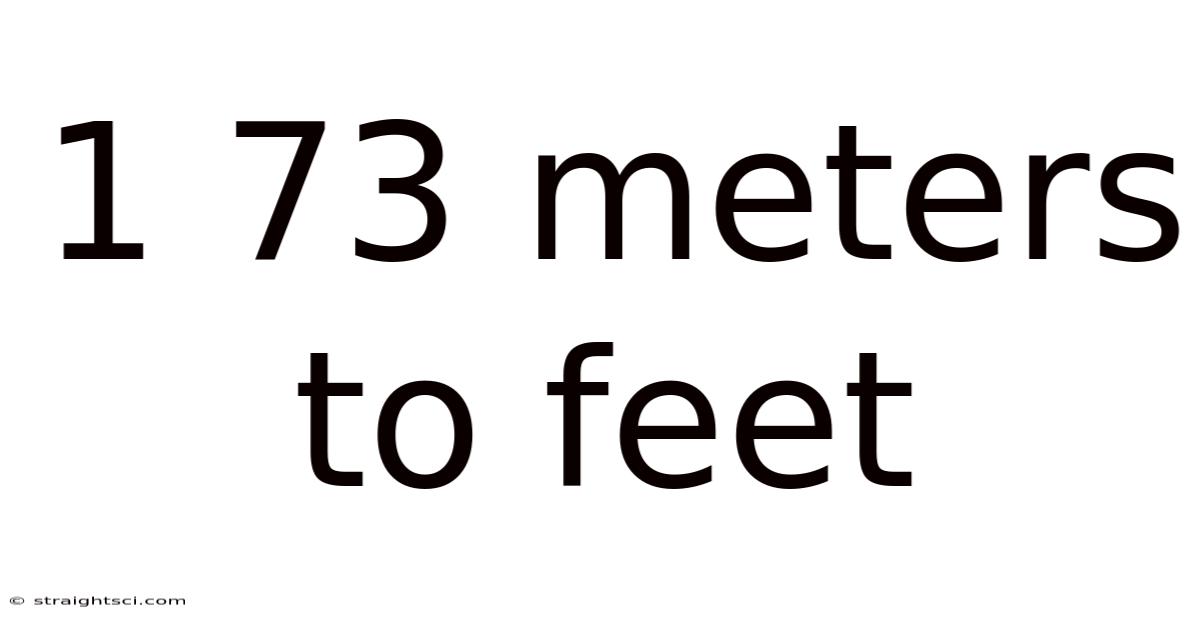 1 73 Meters To Feet
