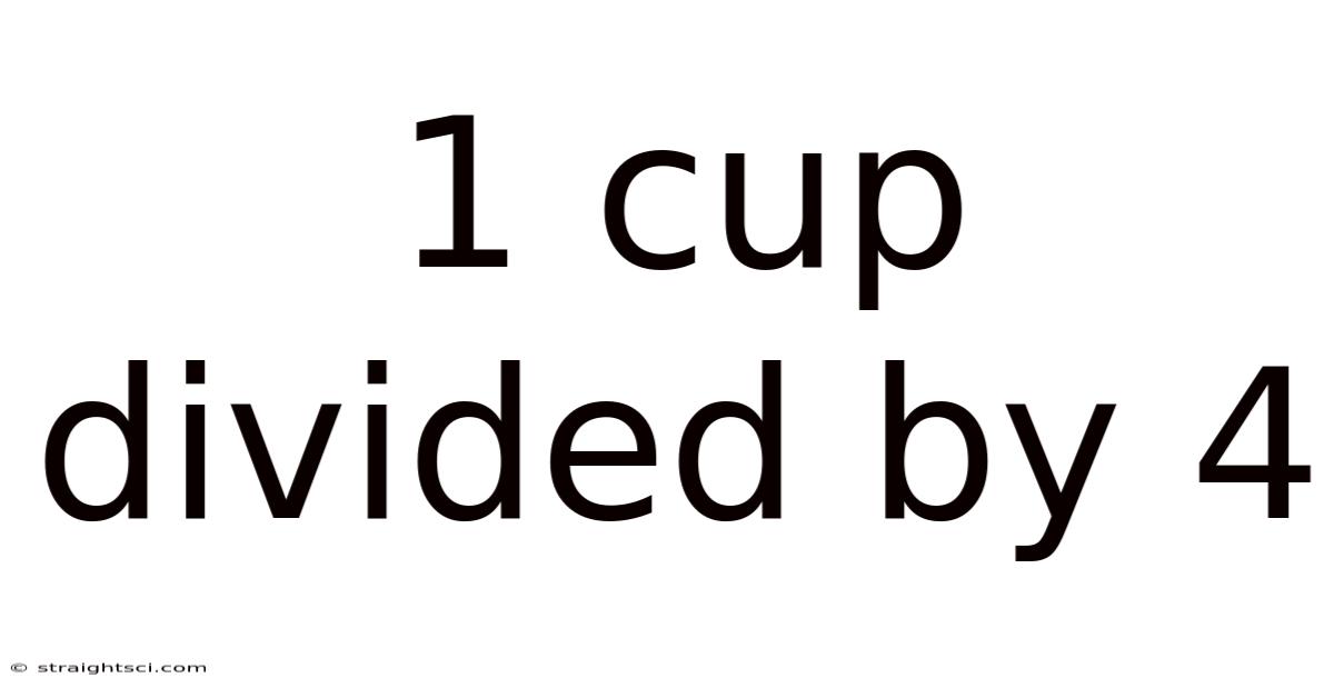 1 Cup Divided By 4