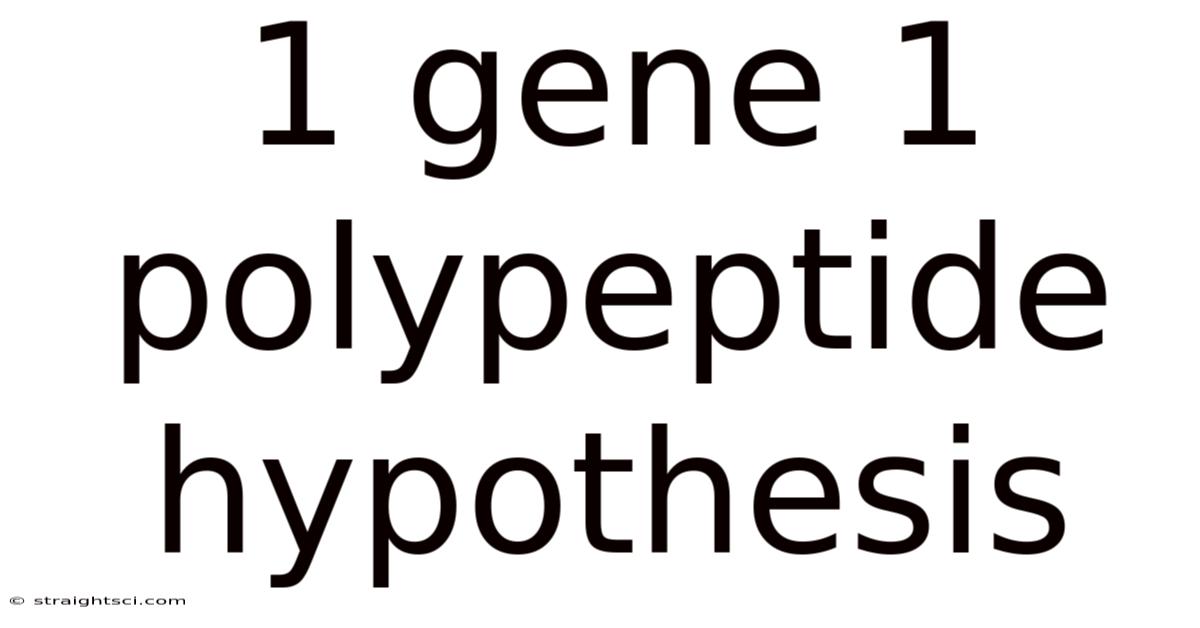 1 Gene 1 Polypeptide Hypothesis