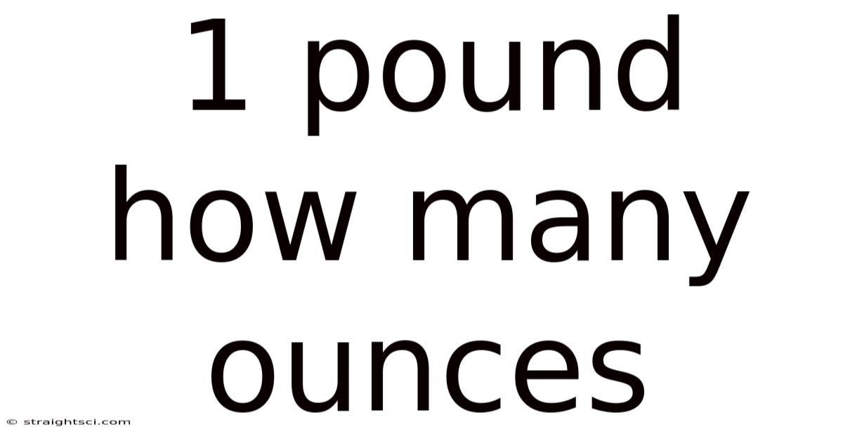 1 Pound How Many Ounces