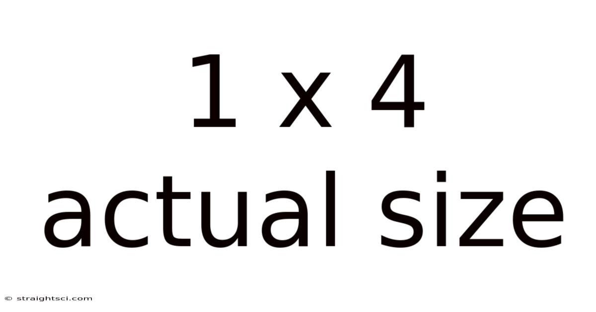 1 X 4 Actual Size