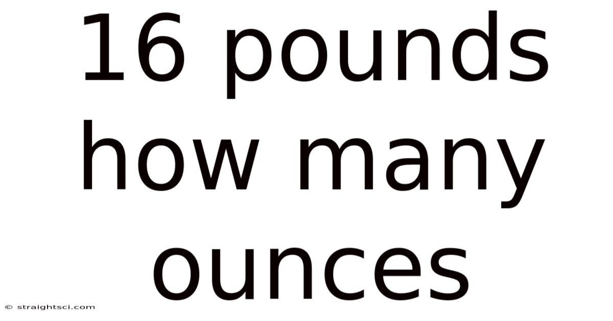 16 Pounds How Many Ounces