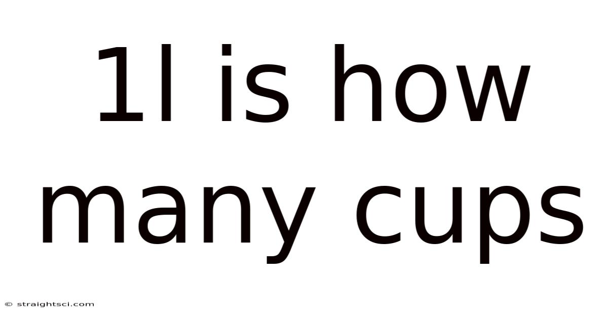 1l Is How Many Cups