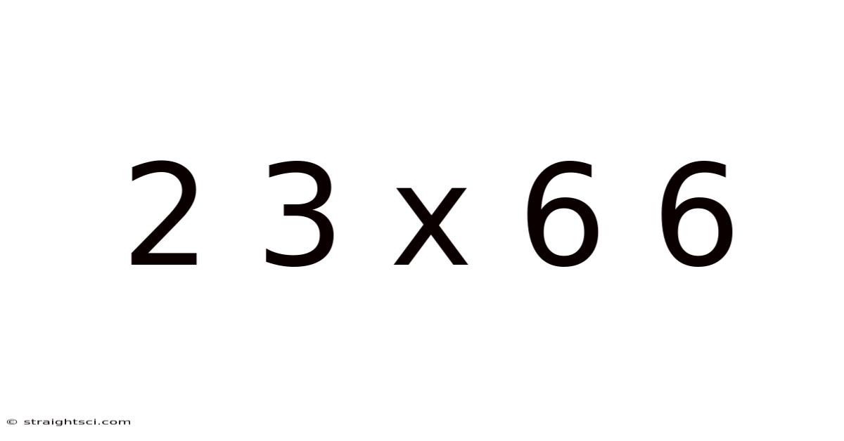 2 3 X 6 6