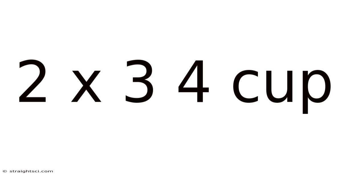 2 X 3 4 Cup
