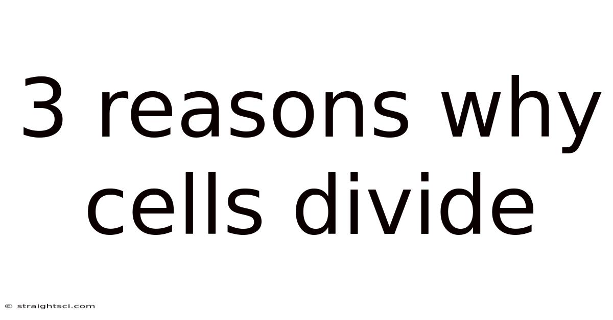 3 Reasons Why Cells Divide