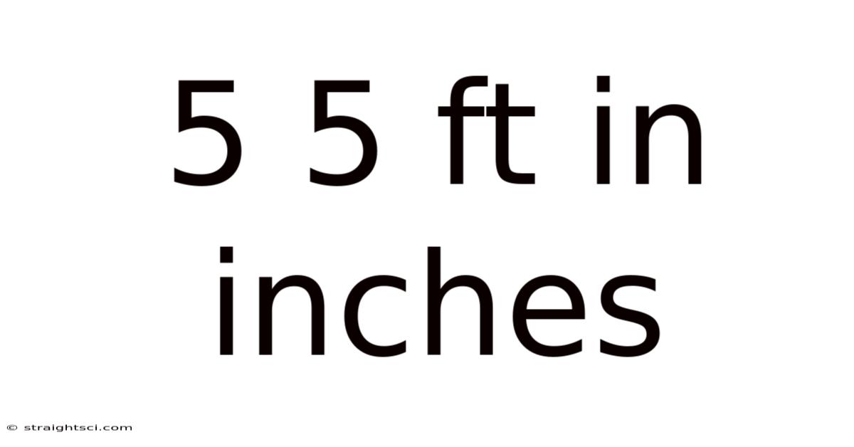 5 5 Ft In Inches