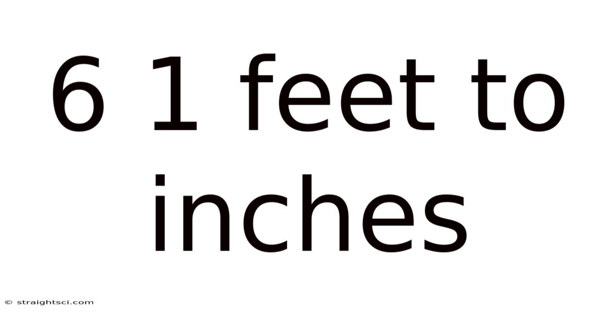6 1 Feet To Inches