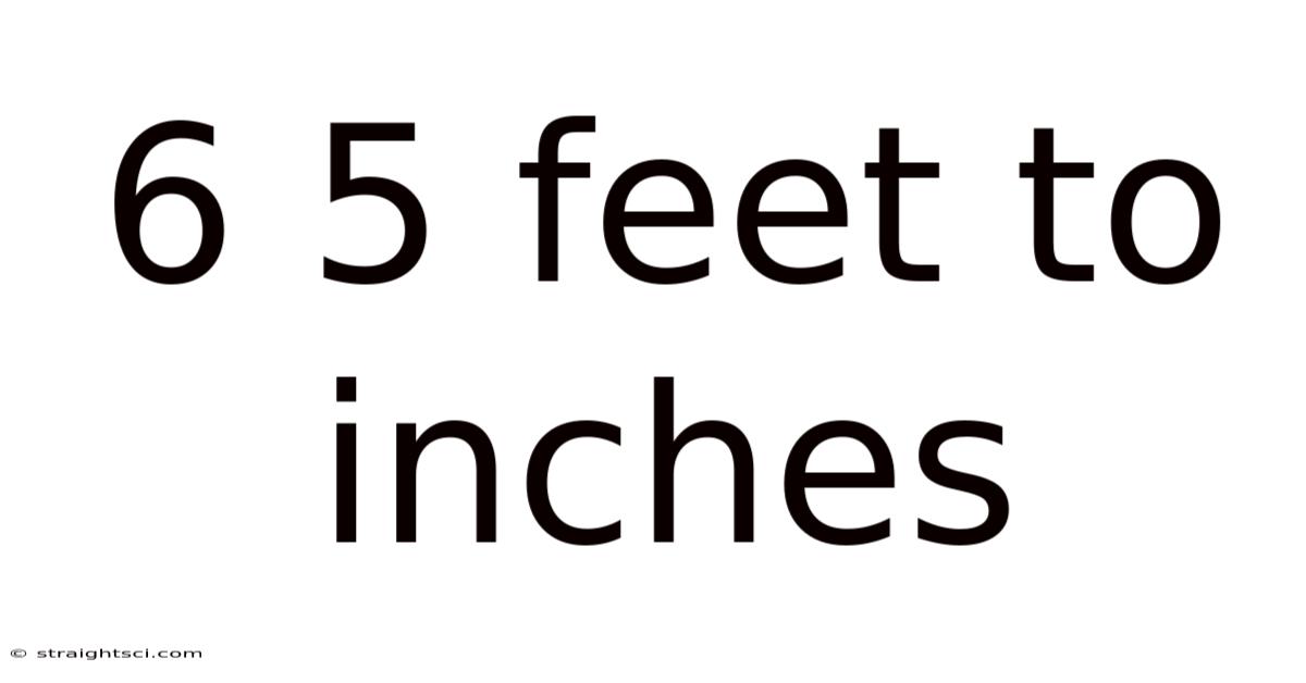 6 5 Feet To Inches