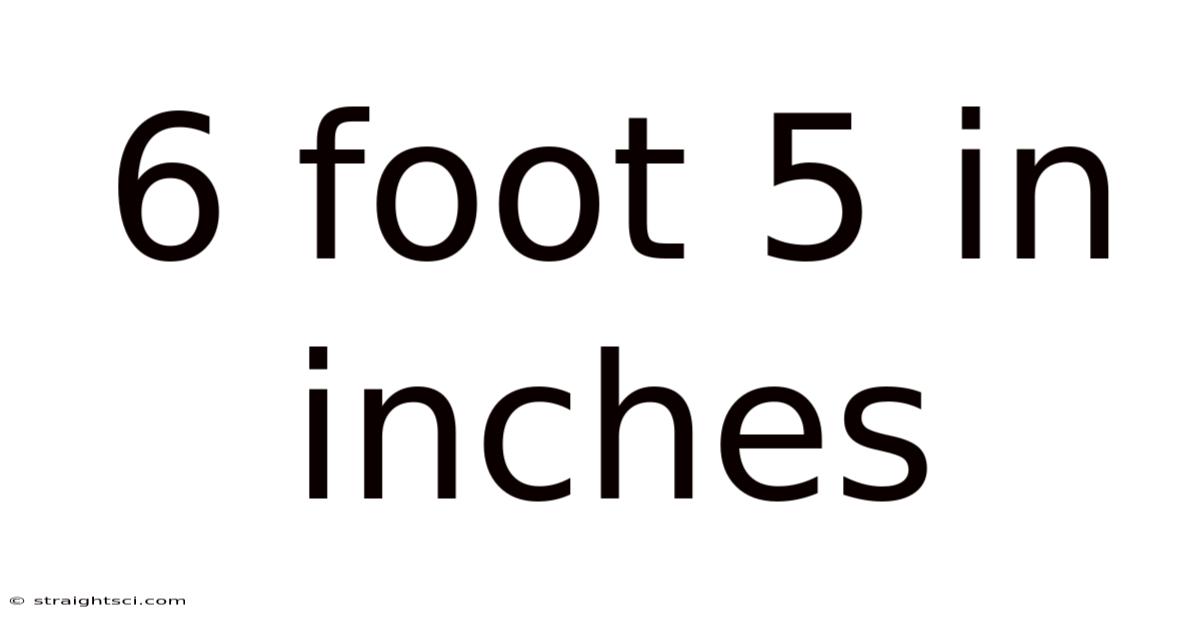 6 Foot 5 In Inches