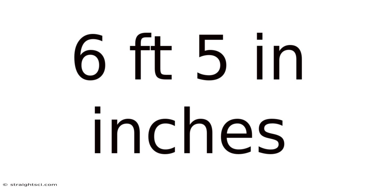 6 Ft 5 In Inches