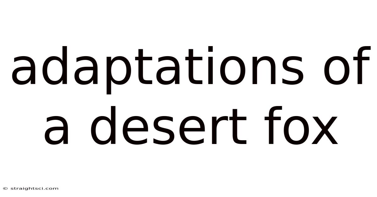 Adaptations Of A Desert Fox