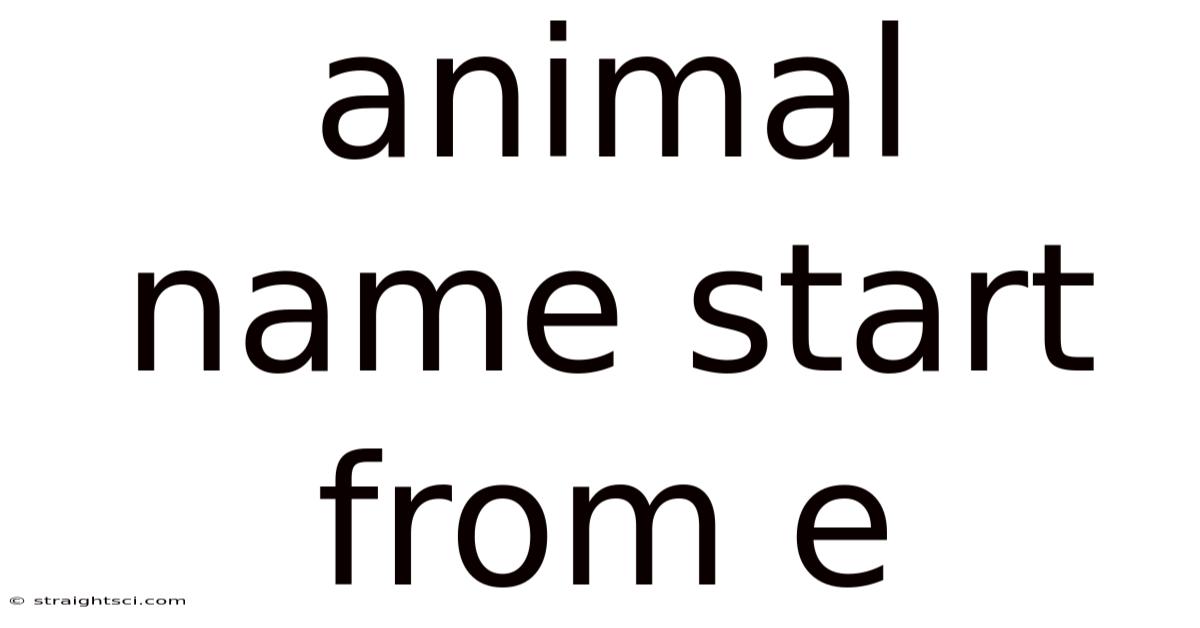 Animal Name Start From E