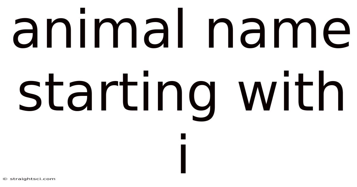 Animal Name Starting With I