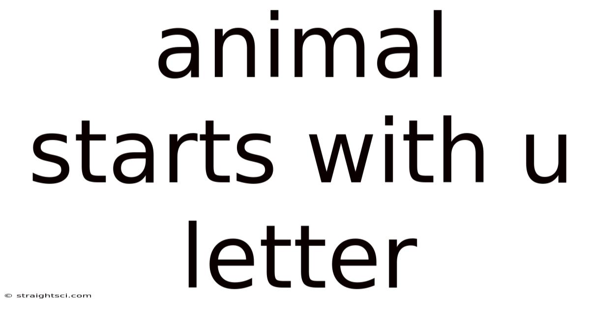 Animal Starts With U Letter