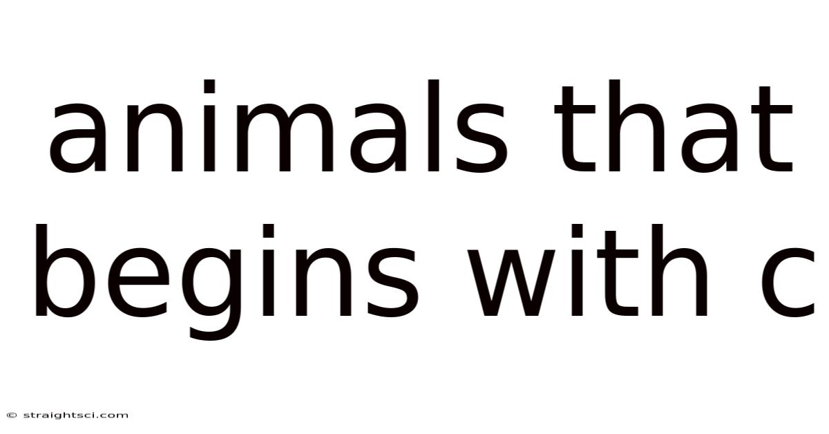 Animals That Begins With C