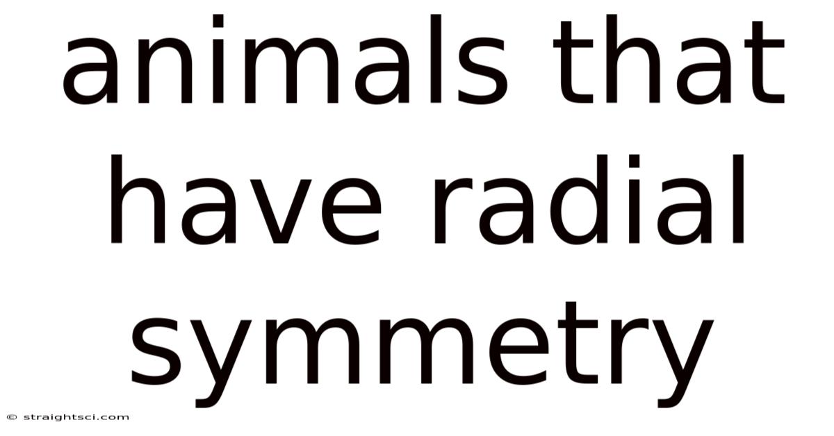 Animals That Have Radial Symmetry