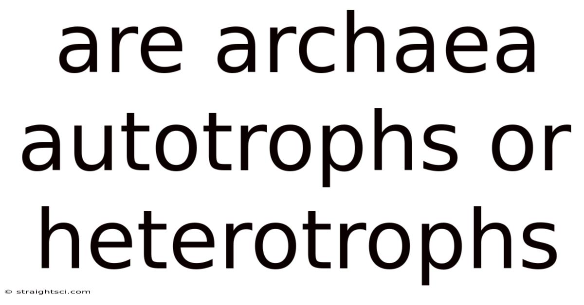 Are Archaea Autotrophs Or Heterotrophs
