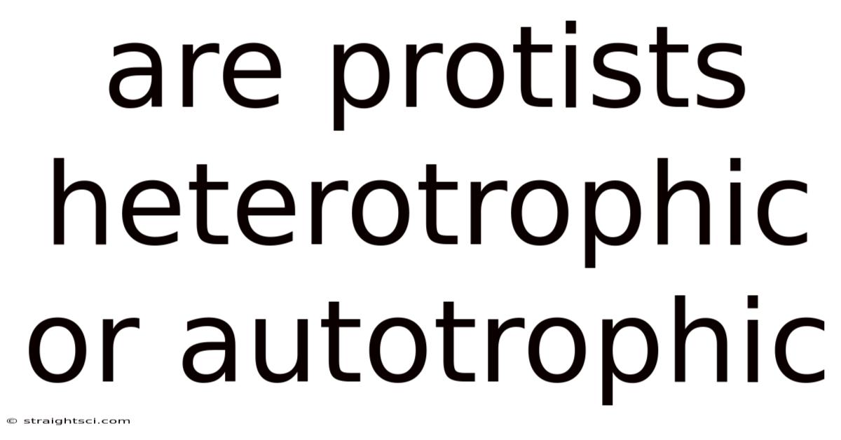 Are Protists Heterotrophic Or Autotrophic