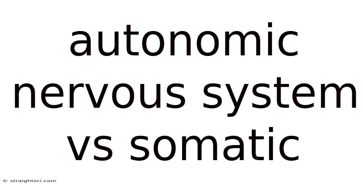 Autonomic Nervous System Vs Somatic