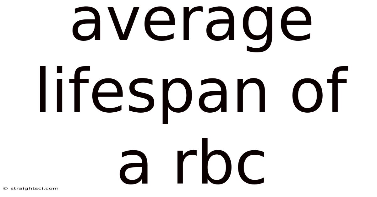 Average Lifespan Of A Rbc