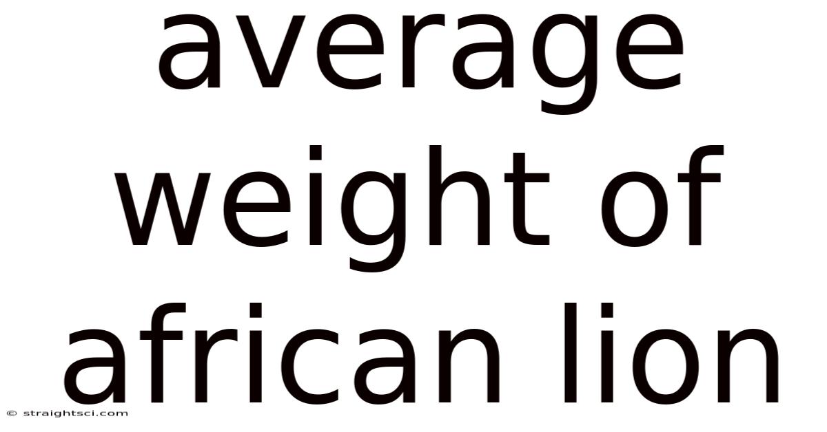 Average Weight Of African Lion