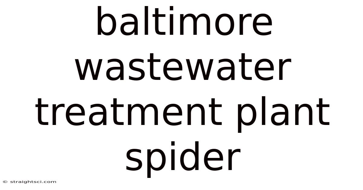 Baltimore Wastewater Treatment Plant Spider