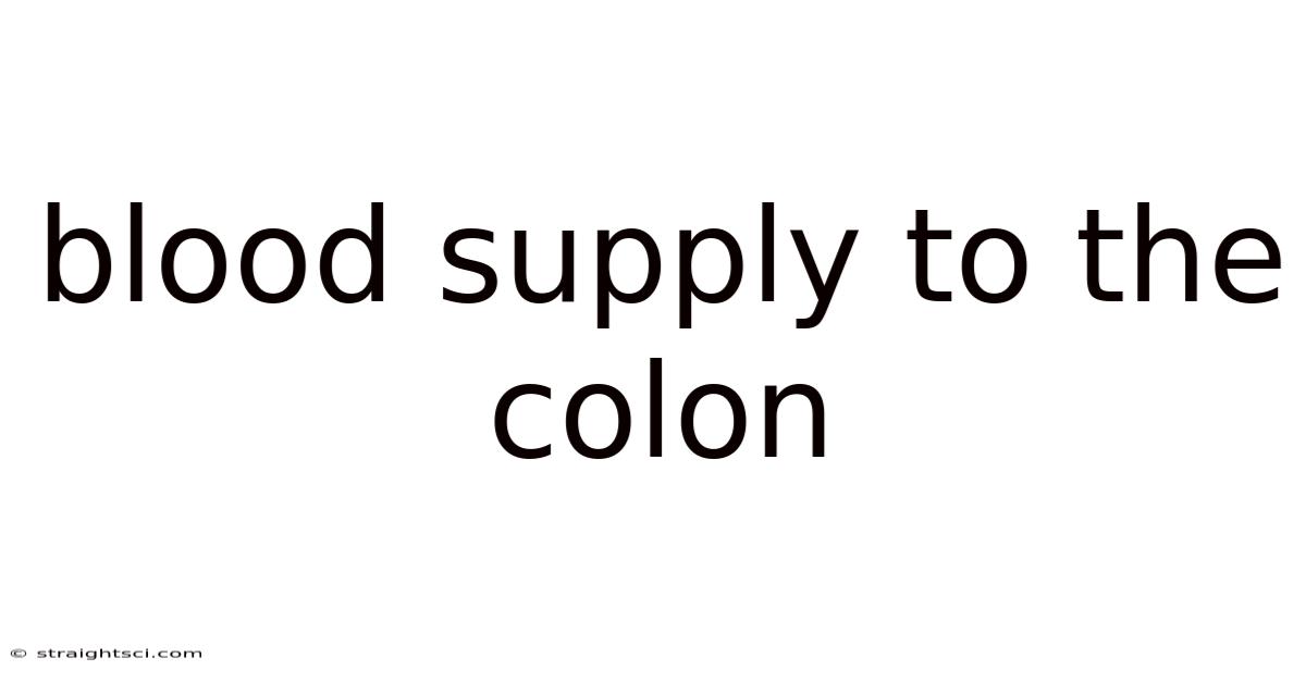Blood Supply To The Colon