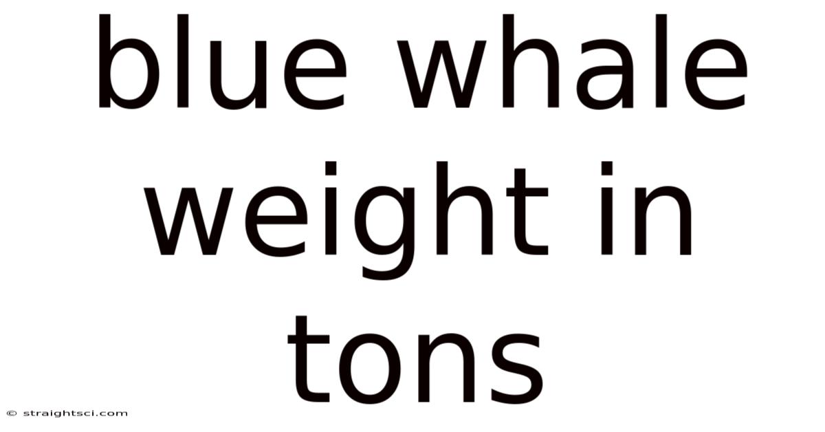 Blue Whale Weight In Tons