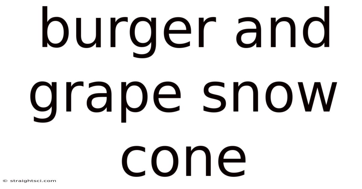 Burger And Grape Snow Cone
