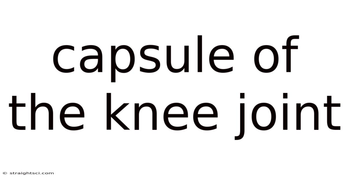 Capsule Of The Knee Joint