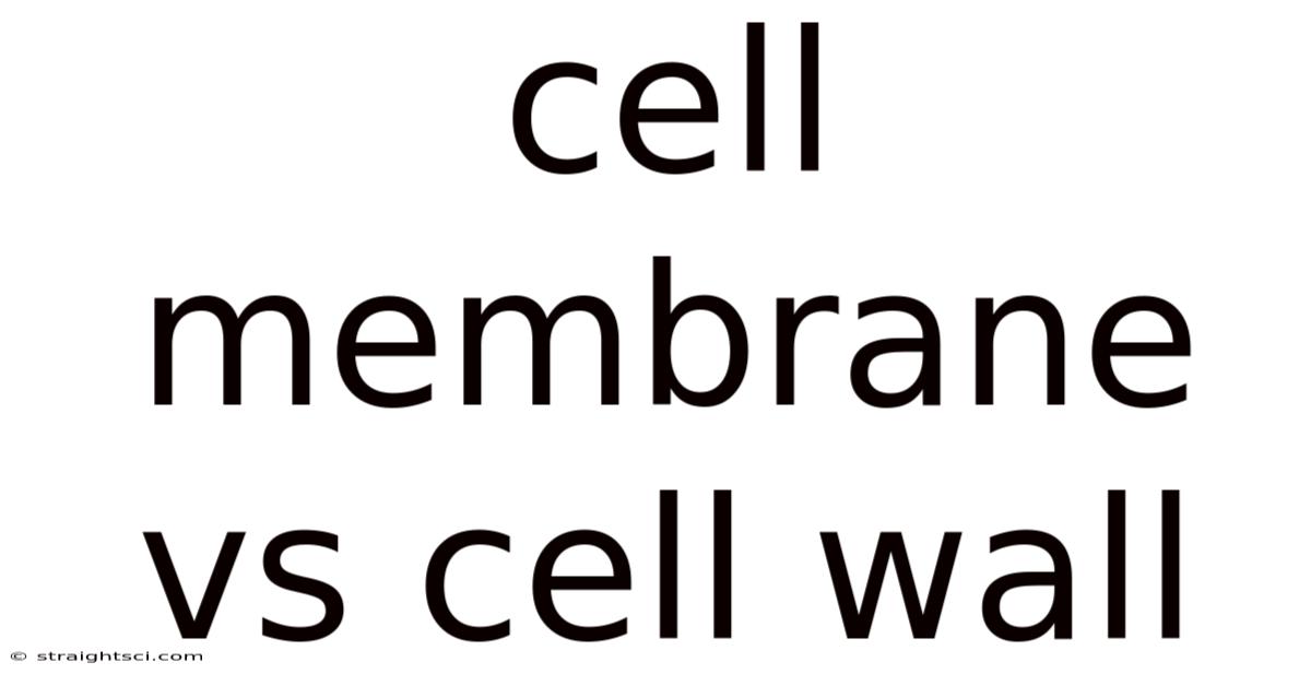 Cell Membrane Vs Cell Wall