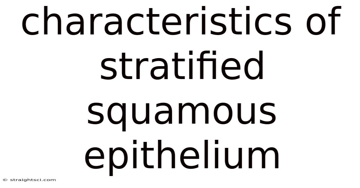 Characteristics Of Stratified Squamous Epithelium