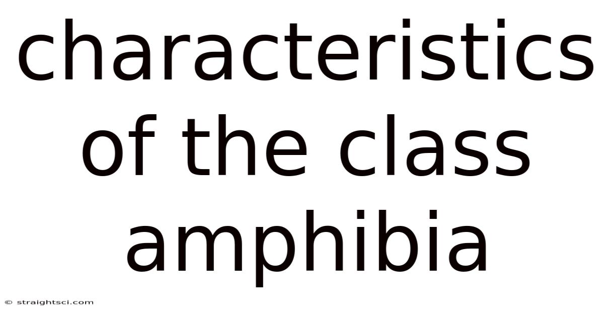 Characteristics Of The Class Amphibia