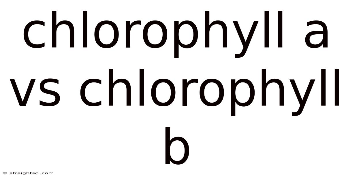 Chlorophyll A Vs Chlorophyll B