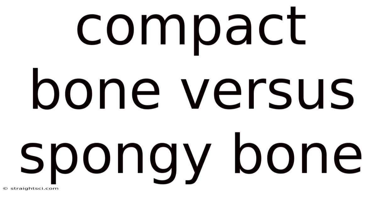 Compact Bone Versus Spongy Bone