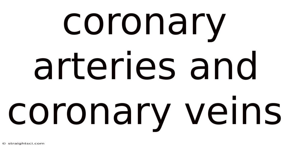Coronary Arteries And Coronary Veins
