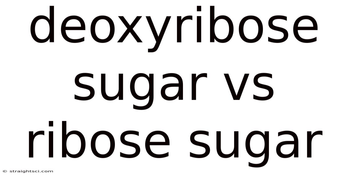 Deoxyribose Sugar Vs Ribose Sugar