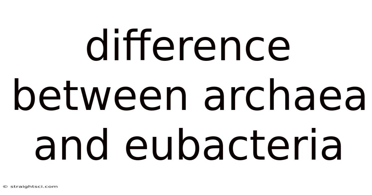 Difference Between Archaea And Eubacteria