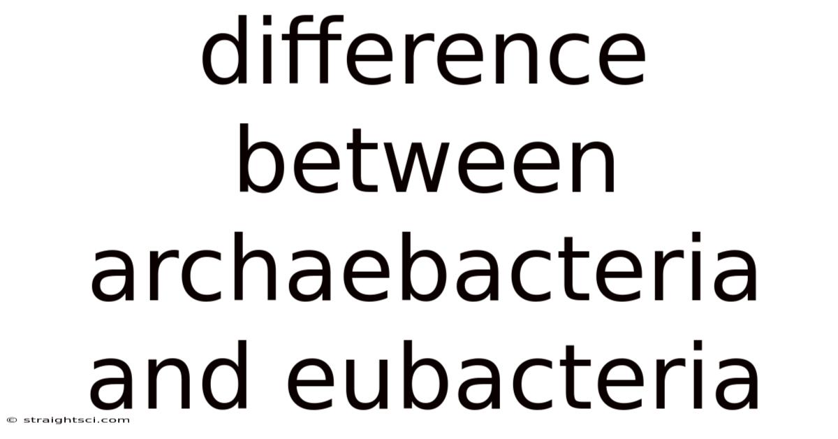 Difference Between Archaebacteria And Eubacteria