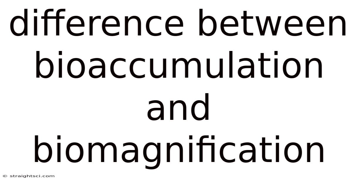 Difference Between Bioaccumulation And Biomagnification