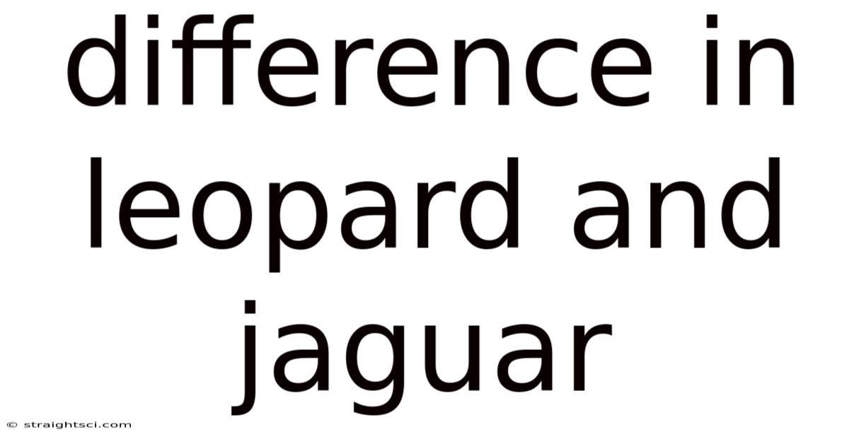Difference In Leopard And Jaguar