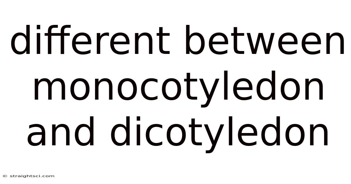 Different Between Monocotyledon And Dicotyledon