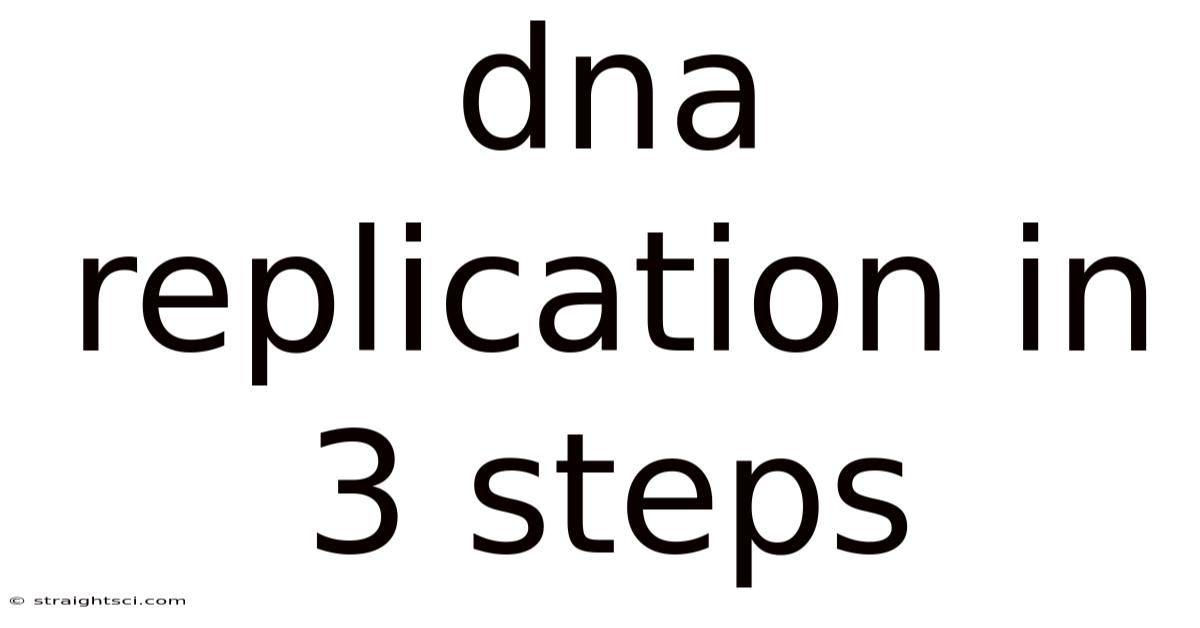 Dna Replication In 3 Steps