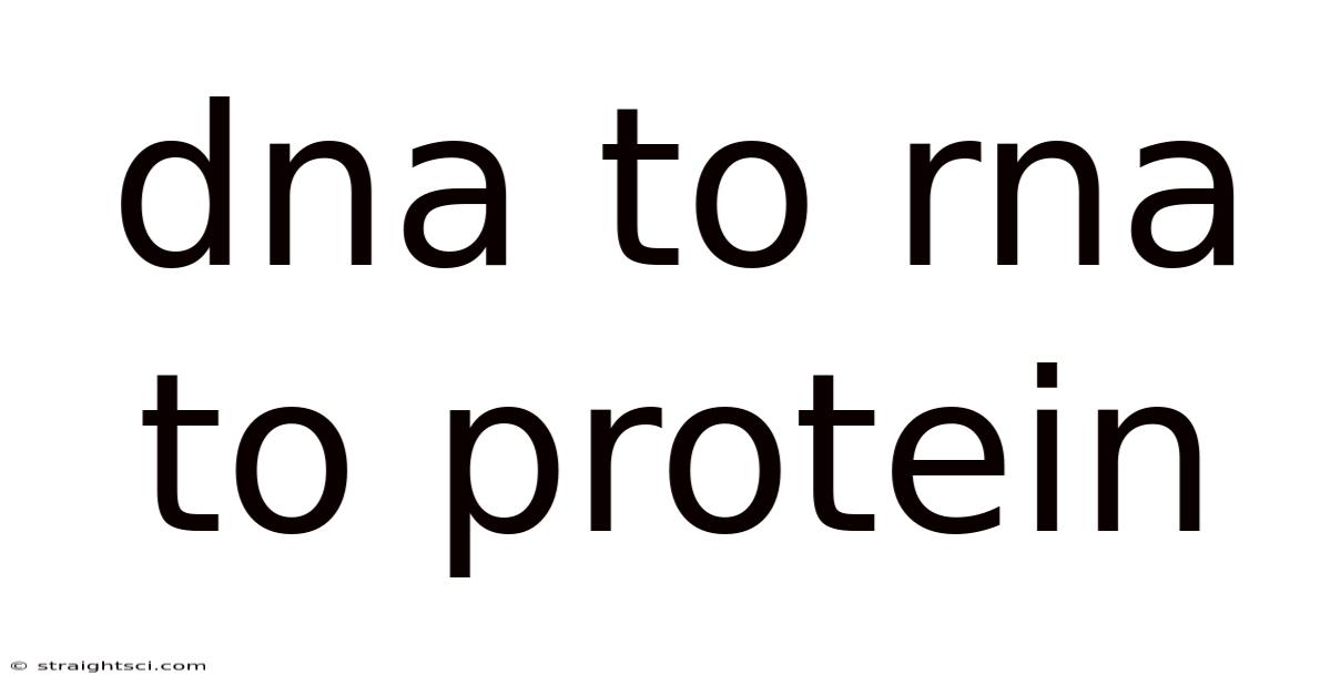 Dna To Rna To Protein